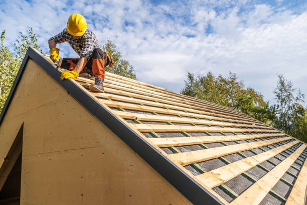 Best Metal Roofing Contractor  in Wakeeney, KS